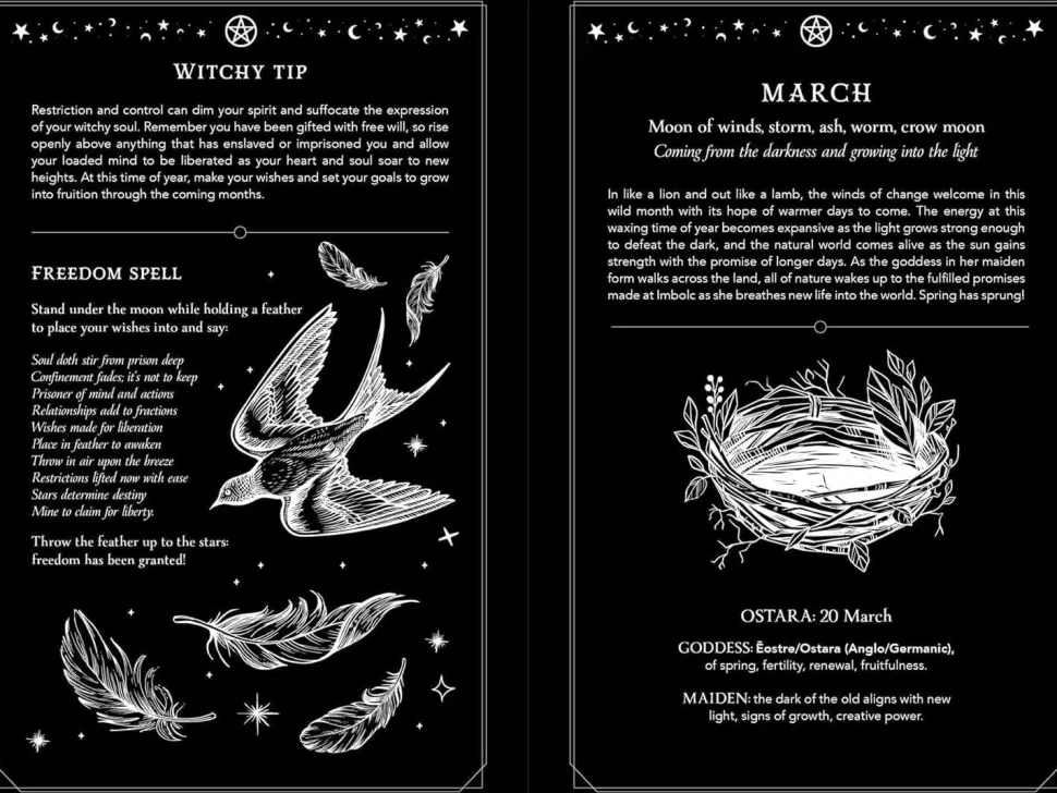 2025 Witch's Diary - Northern Hemisphere: Seasonal planner to reclaiming the magick of the old ways