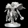 Aasimar Male Cleric (Wave 20) Dungeons & Dragons Nolzurs Marvelous Unpainted Miniature
