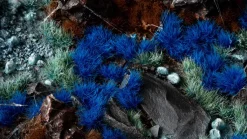 Alien Blue Wild 6 mm