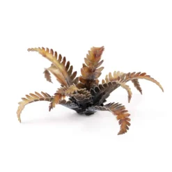 Alien Fern Laser Plants