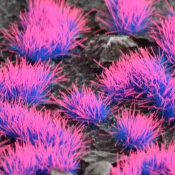 Alien Neon Wild 4 mm