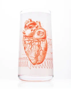 Anatomical Heart Drinking Glass