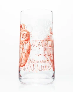 Anatomical Heart Drinking Glass