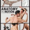 Anatomy in Motion: An artist's guide to capturing dynamic movement
