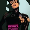 Batman: One Bad Day: Catwoman
