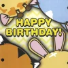 Birthday Animals Card