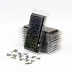 Black Magic Taro Laser Plants