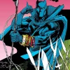 Black Panther: Panther's Prey Omnibus