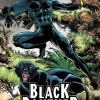 Black Panther: Panther's Quest