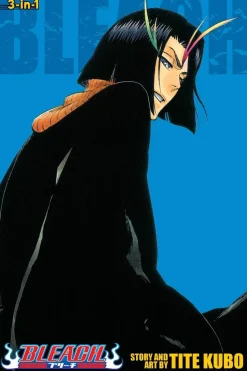 Bleach (3-in-1 Edition), Vol. 13
