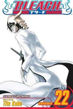 Bleach, Vol. 22