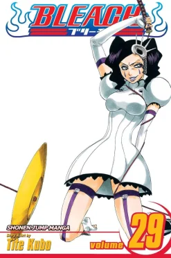 Bleach, Vol. 29
