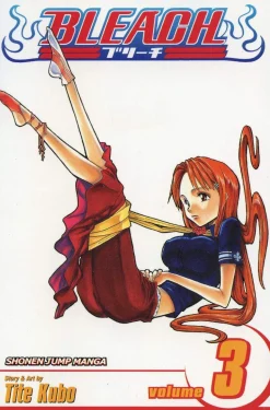 Bleach, Vol. 3: Memories in the Rain