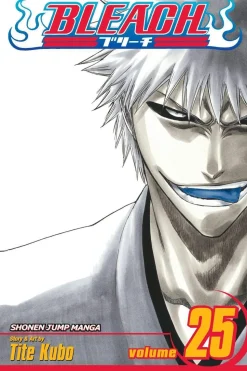 Bleach, Vol. 25: No Shaking Throne