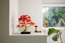 Bonsaitre: Japansk lønn (10348)