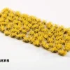 Broom Flowers