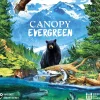 Canopy: Evergreen