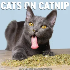 Cats on Catnip Wall Calendar 2026