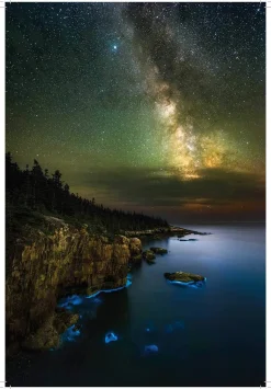 Cosmic Queries: StarTalk's Guide to Who We Are, How We Got Here, and Where We're Going