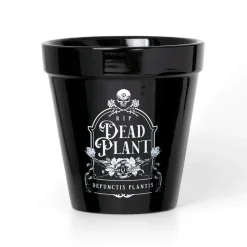 Dead Plant Plant Pot