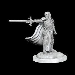Death Knights (Wave 20) Dungeons & Dragons Nolzurs Marvelous Unpainted Miniature