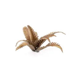 Deer Fern Laser Plants