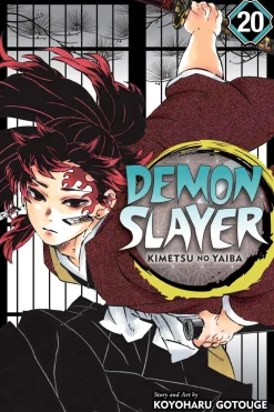 Demon Slayer: Kimetsu no Yaiba, Vol. 20