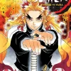 Demon Slayer: Kimetsu no Yaiba, Vol. 8