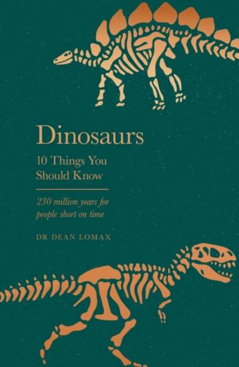 Dinosaurs: 10 Things You Should Know, the perfect gift for stockings this Christmas