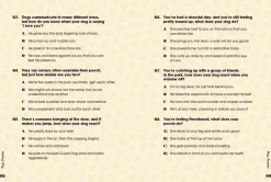 Dog Pawsonality Test: What our canine friends are really thinking