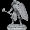 Dragonborn Clerics (Wave 18) Dungeons & Dragons Nolzurs Marvelous Unpainted Miniature Figur