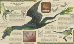 Dragonology: New 20th Anniversary Edition