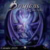 Dragons by Anne Stokes Wall Calendar 2026 (Art Calendar)