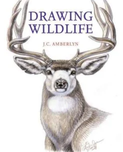 Drawing Wildlife
