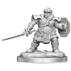 Dwarf Female Fighter (Wave 16) Dungeons & Dragons Nolzurs Marvelous Unpainted Miniature Figur