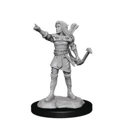 Elf Female Ranger (Wave 13) Dungeons & Dragons Nolzurs Marvelous Unpainted Miniature Figur