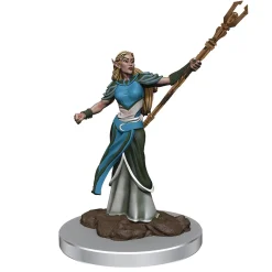 Elf Female Sorceror (Wave 7) Icons of the Realms Premium Painted Miniatures Figur