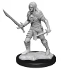 Elf Male Fighter (Wave 13) Pathfinder Deep Cuts Unpainted Miniature Figur