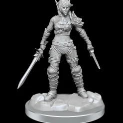 Elf Rogue & Half-Elf Rogue Protege (Wave 19) Dungeons & Dragons Nolzurs Marvelous Unpainted Miniature