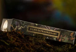 Extinct Animals Deluxe Kortstokk