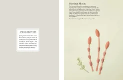 Fabulous Paper Flowers: Make 43 Beautiful Asian Flowers - From Irises to Cherry Blossoms to Peonies (with 270 Tracing Templates)