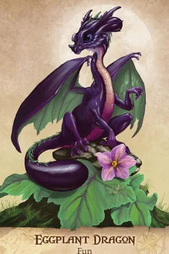 Field Guide To Garden Dragons