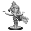 Firbolg Male Ranger (Wave 14) Dungeons & Dragons Nolzurs Marvelous Unpainted Miniature Figur