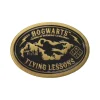 Flying Lessons Pin Badge