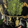 Folk Horror Planter