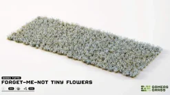 Forget-me-not Tiny Flowers