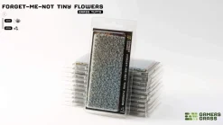 Forget-me-not Tiny Flowers