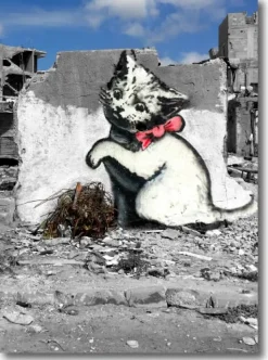 Gaza Kitten, Doble kort 120x170mm