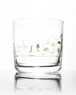 Geologic Time Scale Whiskey Glass