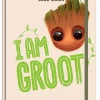 Groot 2026 A5 Dtp Diary
